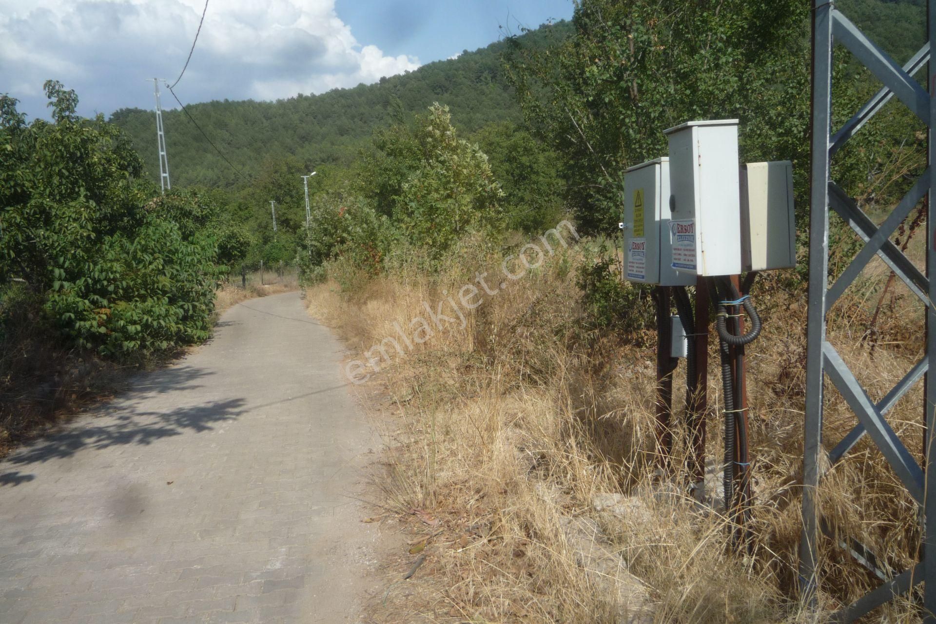 İzmir Torbalı Gold Emlaktan Satılık Bahçe - Görsel 13