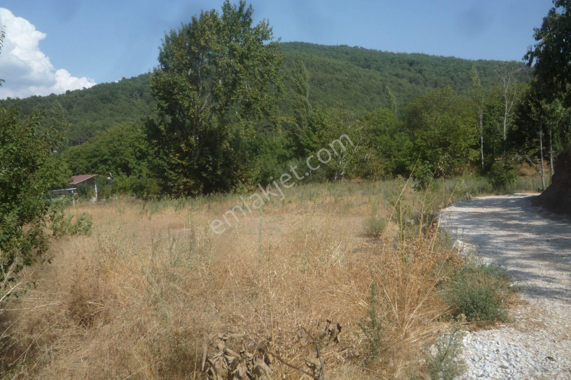 İzmir Torbalı Gold Emlaktan Satılık Bahçe