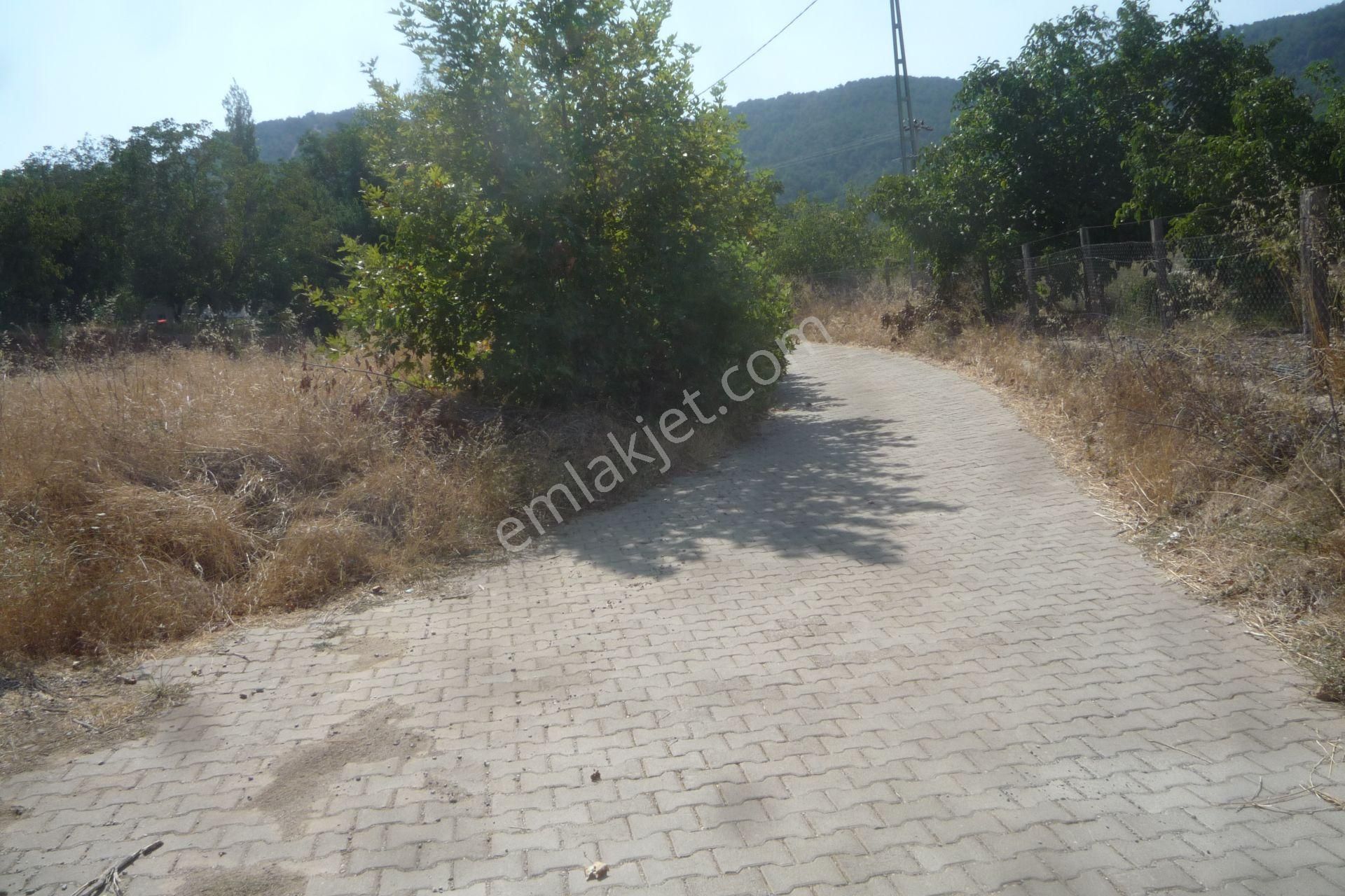 İzmir Torbalı Gold Emlaktan Satılık Bahçe - Görsel 3