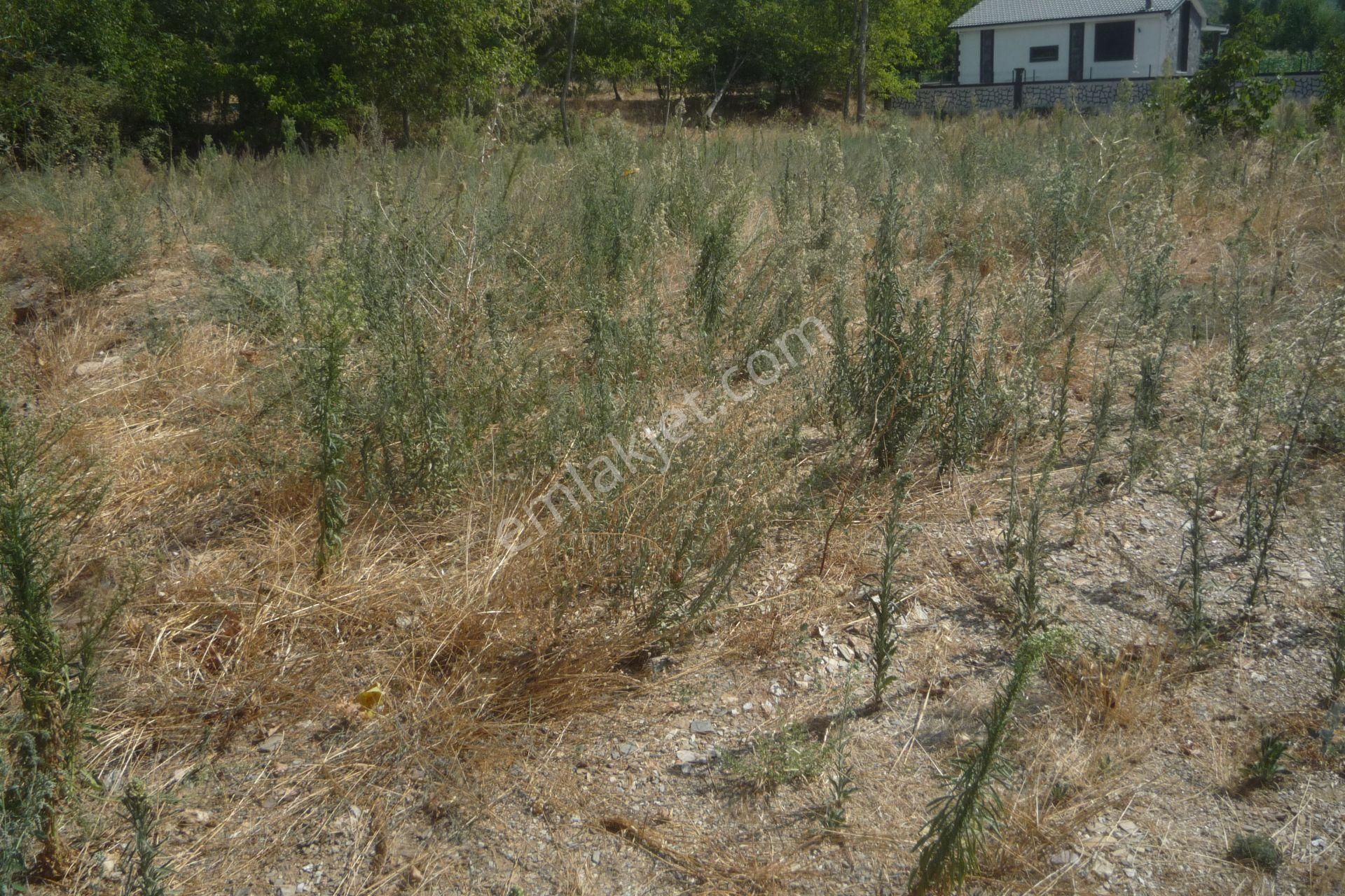 İzmir Torbalı Gold Emlaktan Satılık Bahçe - Görsel 7