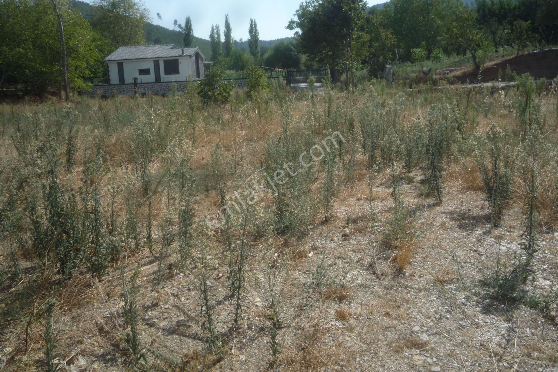 İzmir Torbalı Gold Emlaktan Satılık Bahçe - Görsel 8