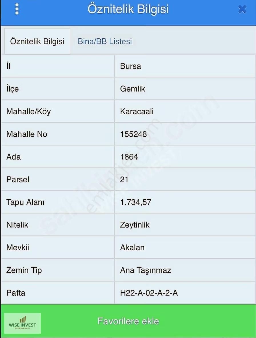 Gemlik Karacaali De Satılık Zeytinlik - Görsel 5