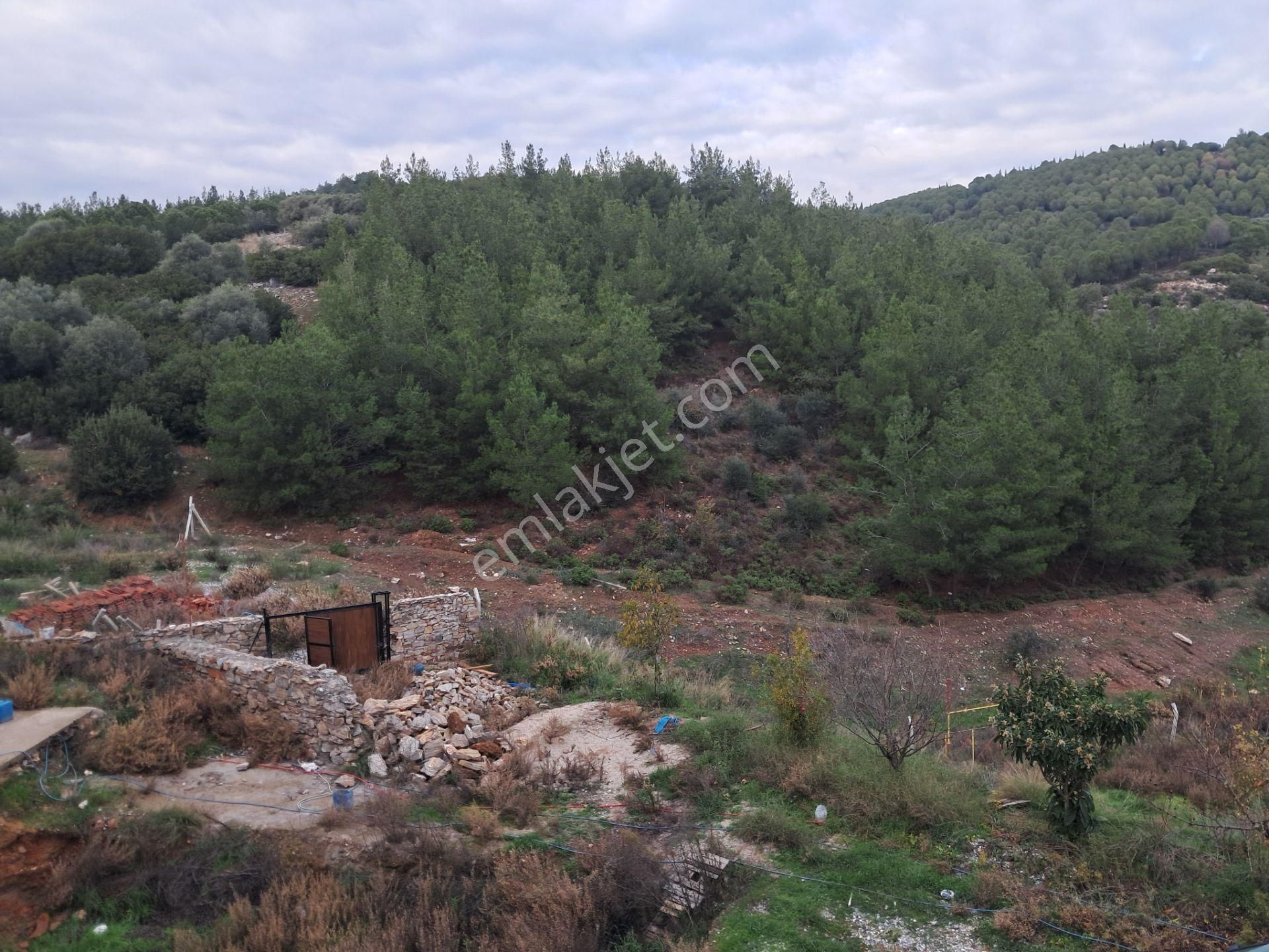 İzmir Torbalı Gold Emlaktan Satılık Bahçeli Çiftlik Evi - Görsel 20