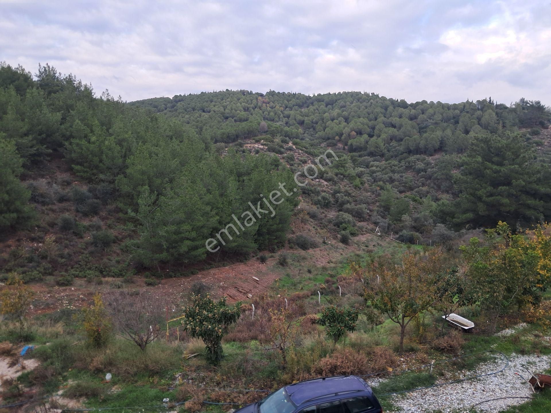 İzmir Torbalı Gold Emlaktan Satılık Bahçeli Çiftlik Evi - Görsel 21