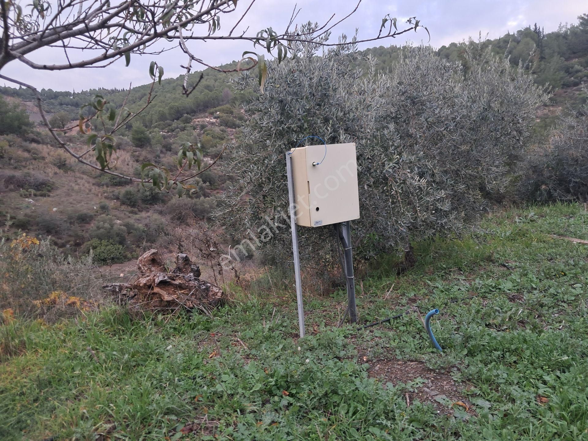 İzmir Torbalı Gold Emlaktan Satılık Bahçeli Çiftlik Evi - Görsel 27