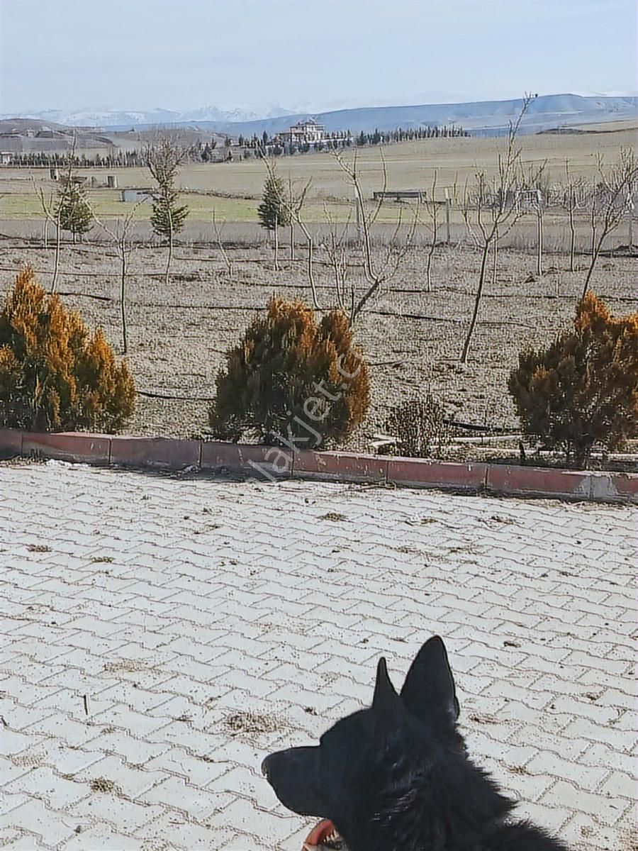 Güdül Güneycede Acil Müstakil Ev Fırsat 2675 M2 Arsalı Takaslı - Görsel 16