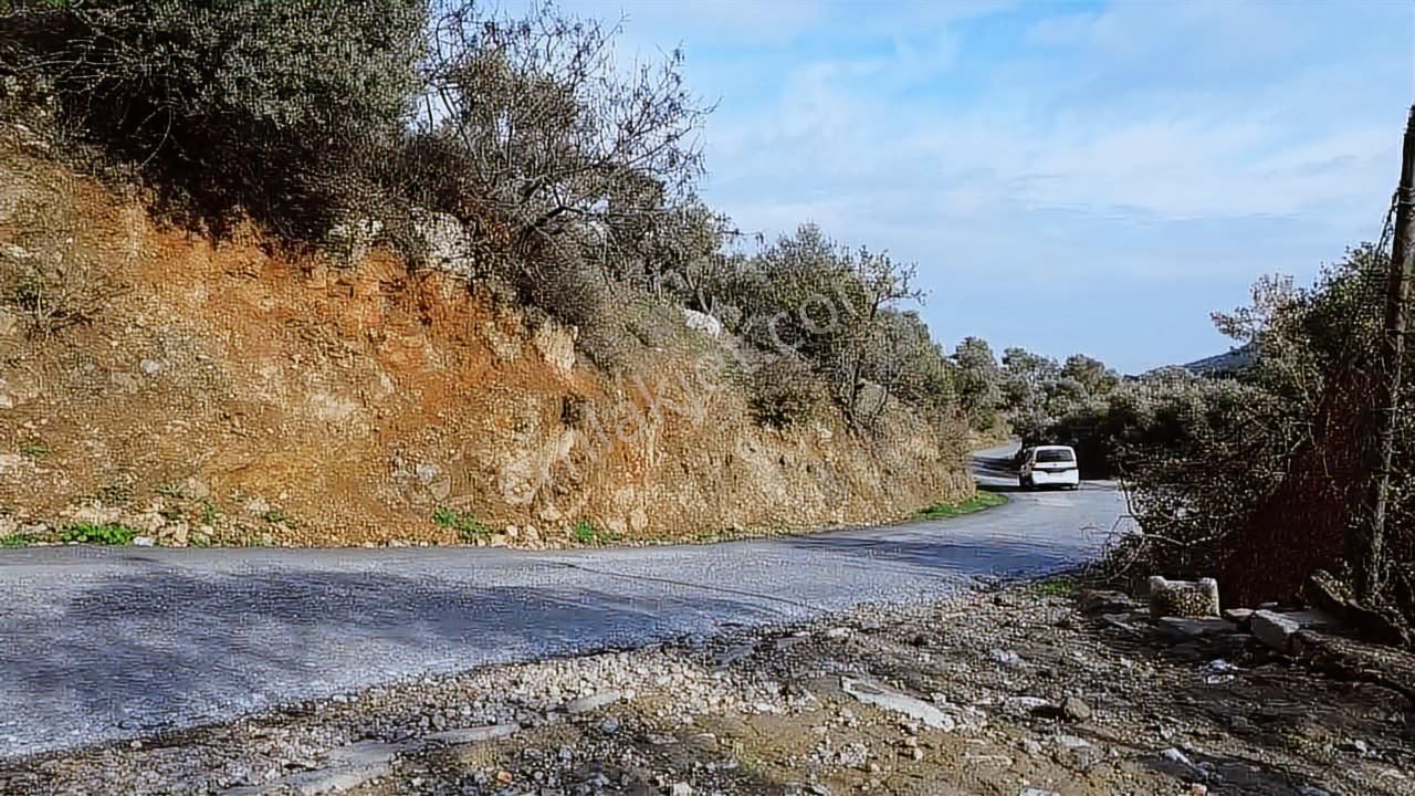 Fırsat Müstakil Ev Ve Arsası - Görsel 9