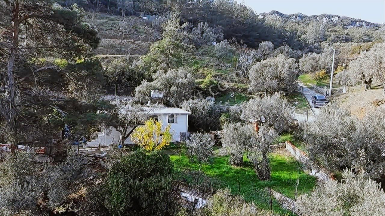 Fırsat Müstakil Ev Ve Arsası - Görsel 16
