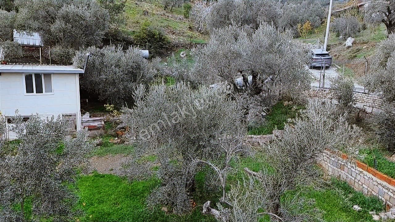 Fırsat Müstakil Ev Ve Arsası - Görsel 35