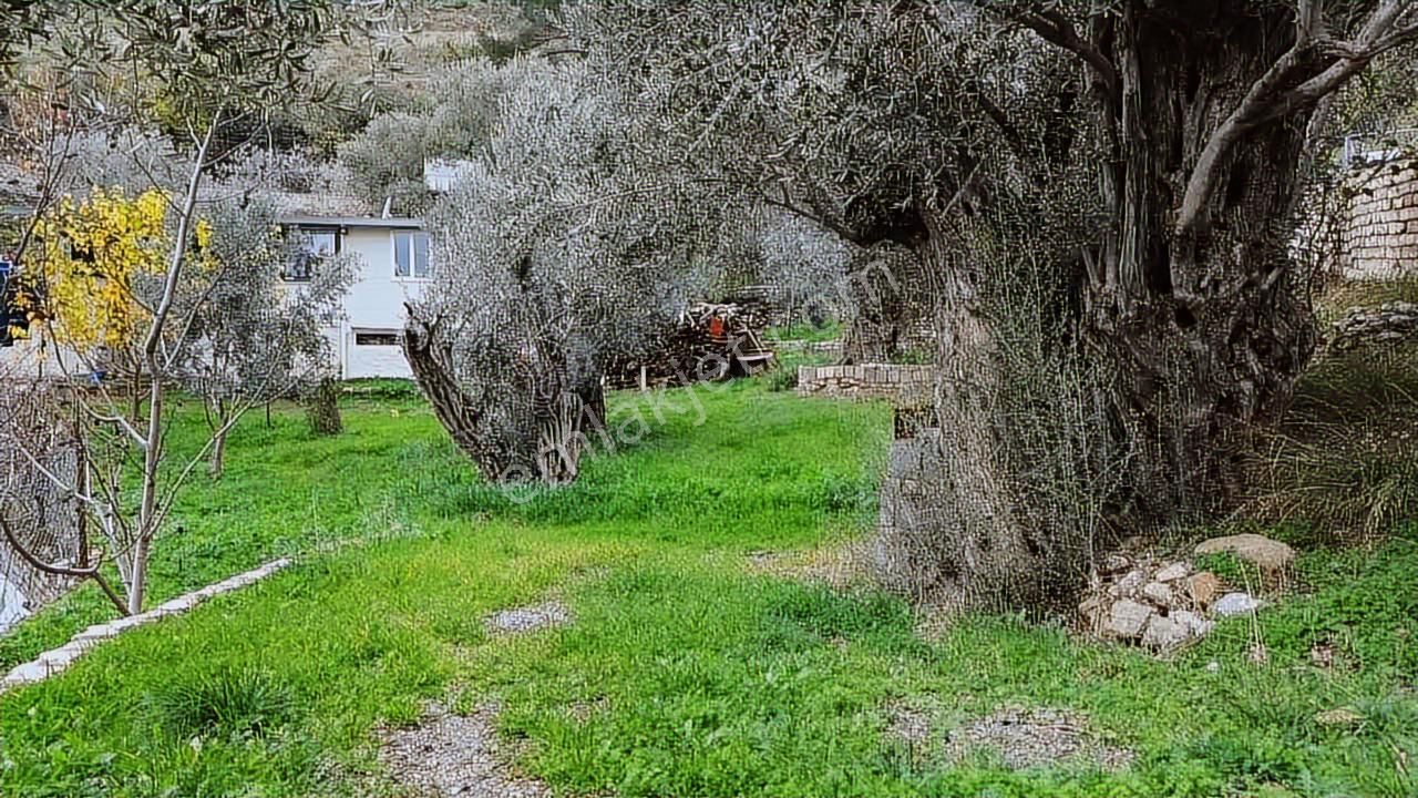 Fırsat Müstakil Ev Ve Arsası - Görsel 29