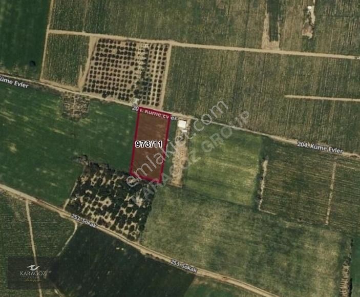 Karagöz Group Gayrimenkul'den Yeşilhisar Dağılgan'da Satılık Bağ