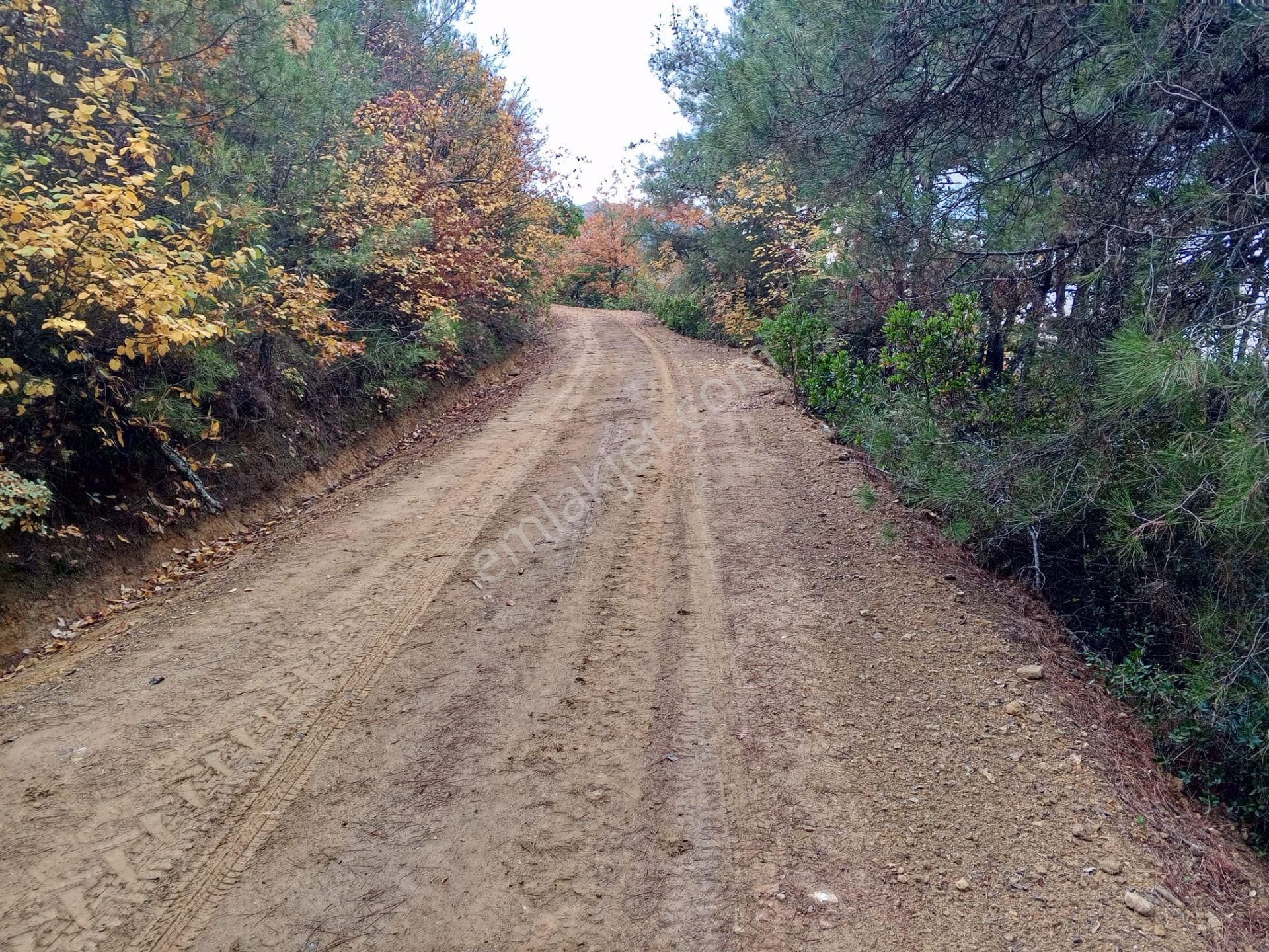 Yenişehir Mecidiyeköy'de Doğa Ve Göl Manzaralı 324,m2- Bahçe - Görsel 8