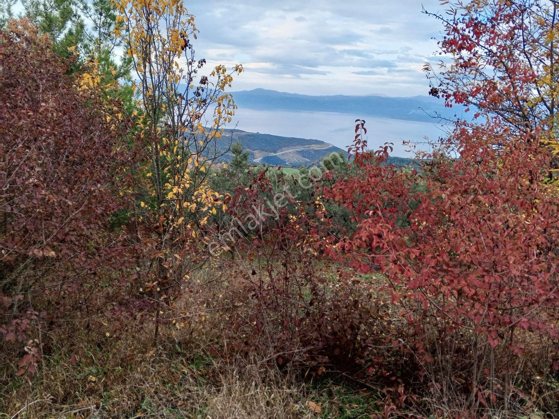 Yenişehir Mecidiyeköy'de Doğa Ve Göl Manzaralı 324,m2- Bahçe - Görsel 4