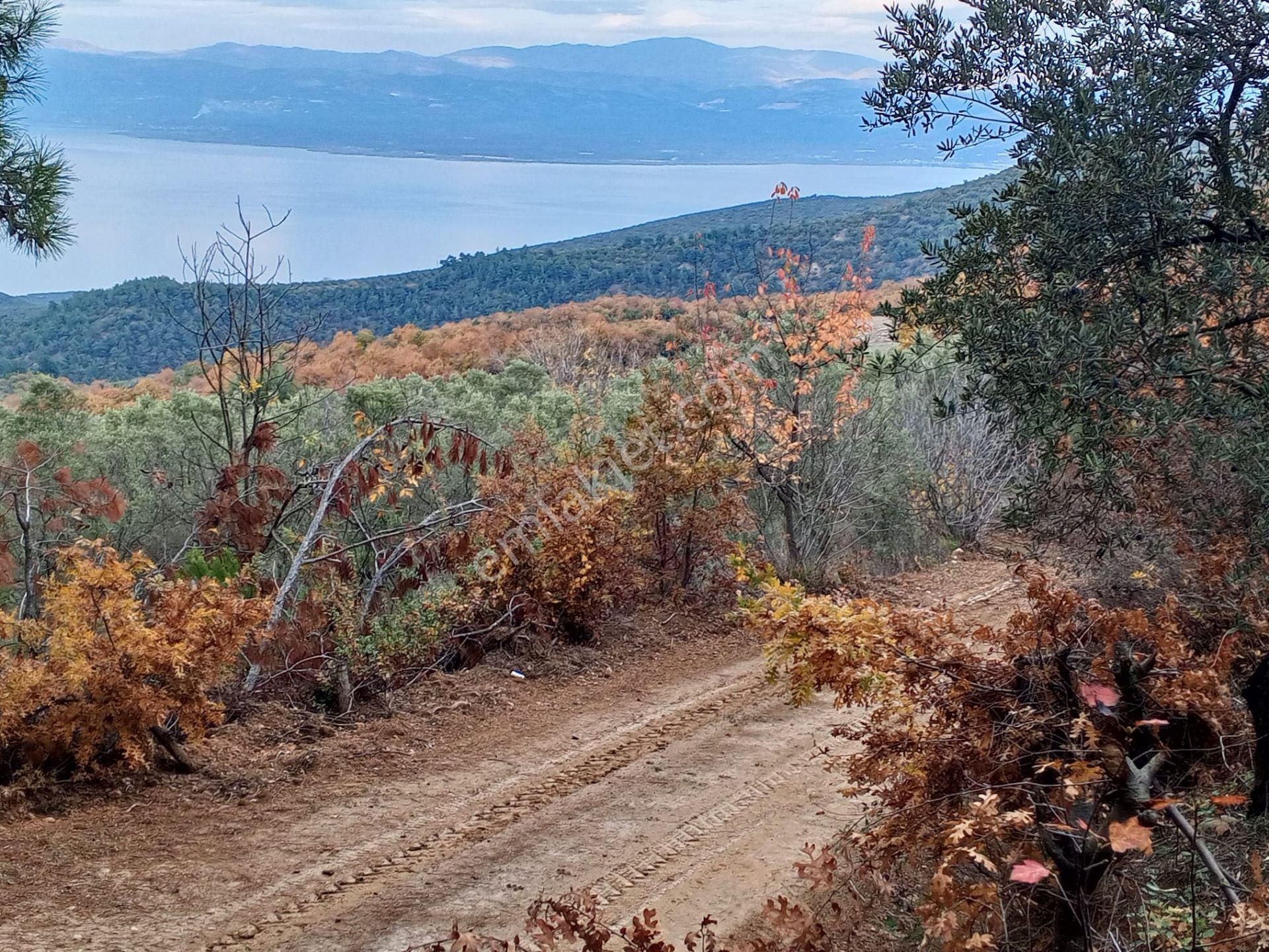 Yenişehir Mecidiyeköy'de Doğa Ve Göl Manzaralı 324,m2- Bahçe - Görsel 19