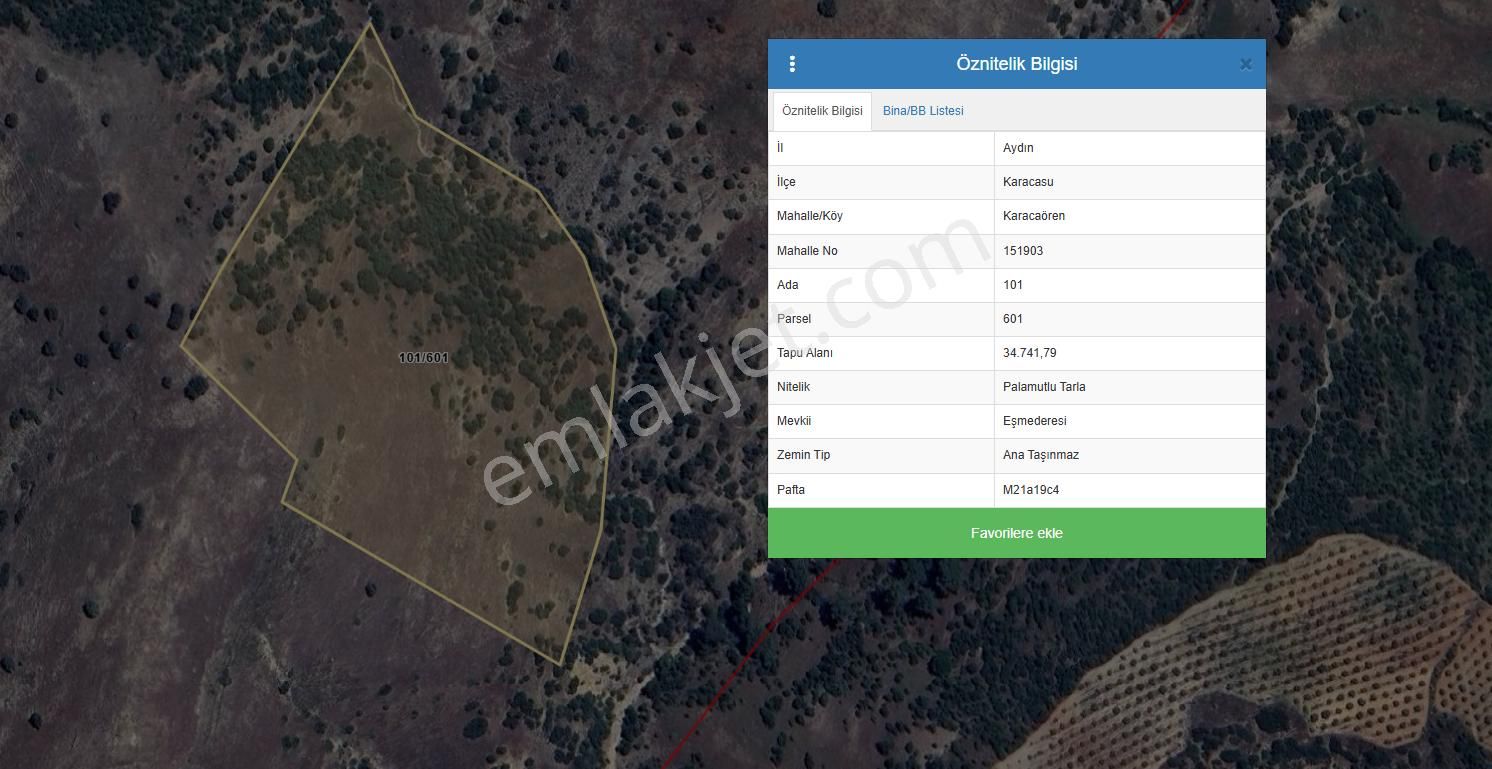 Takasa Açık Fırsat Tarla 34.741 M2 Karacasu Karacaören