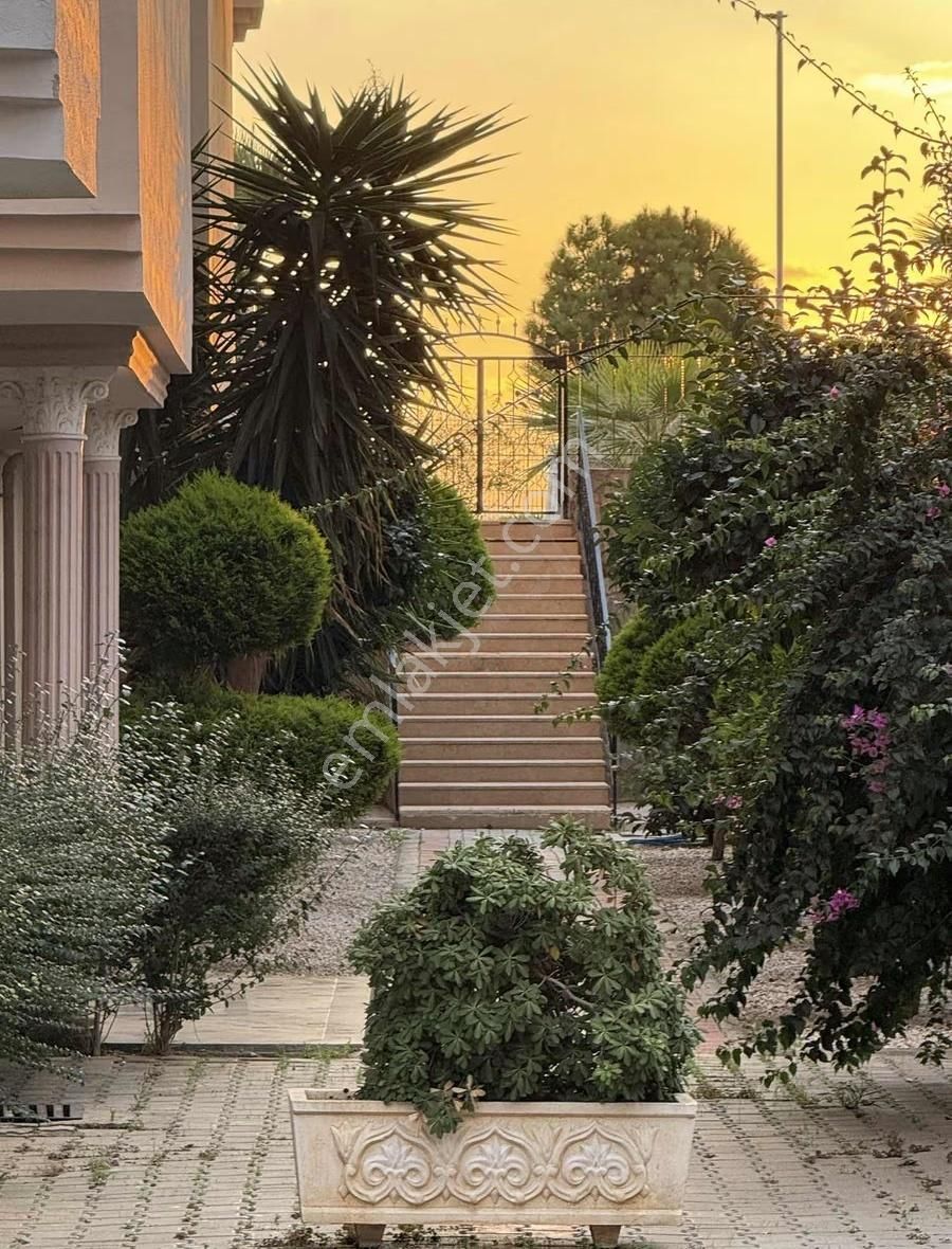 Deniz Manzarası İsteyene