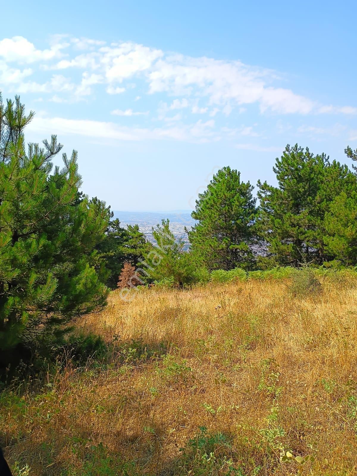 Osmangazi Gökçeörende Satılık Arsa - Görsel 12