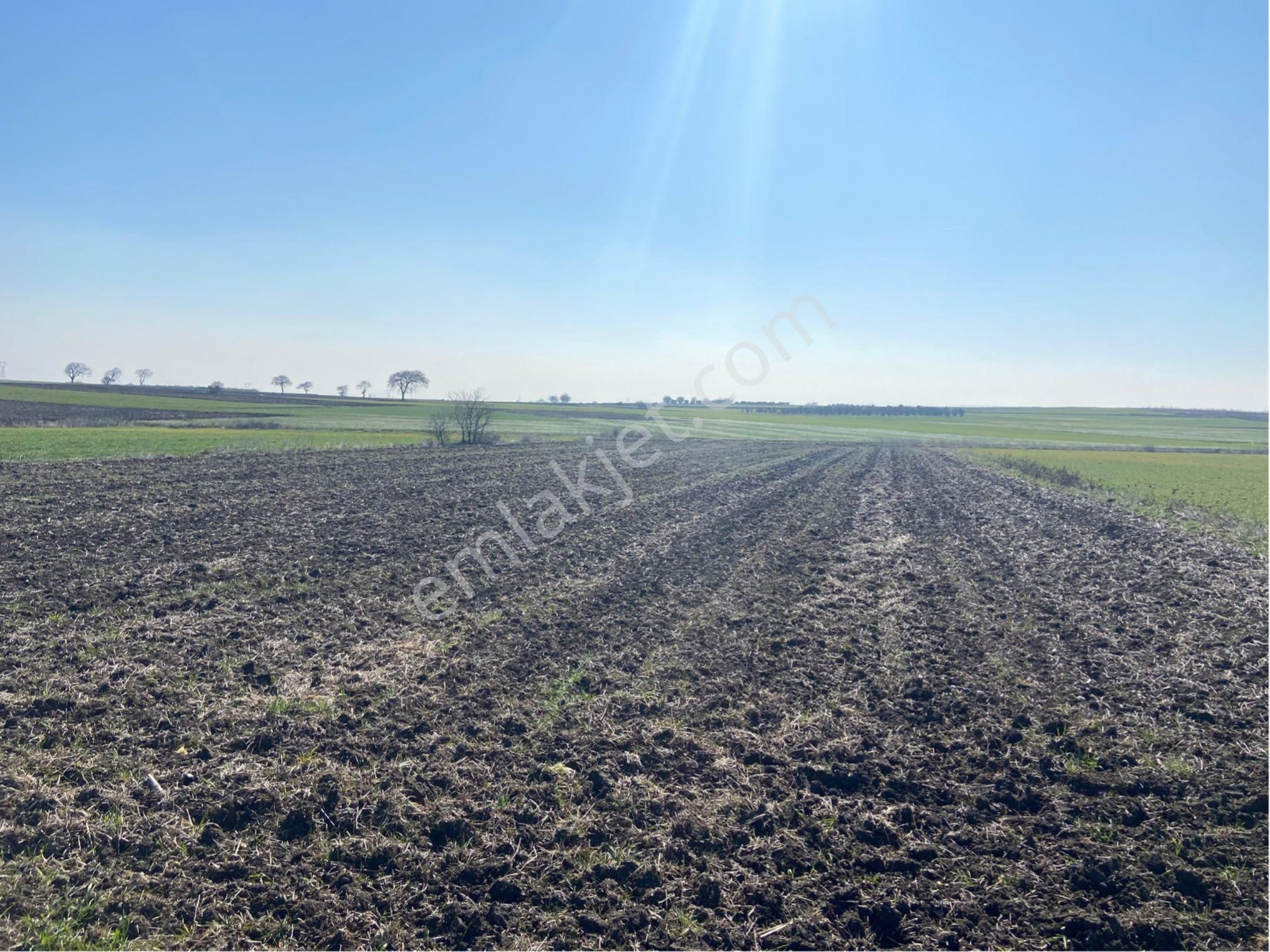 Bt Prestıge'den Yolu Olan Geleceği Parlak Acil Satılık Tarla - Görsel 15