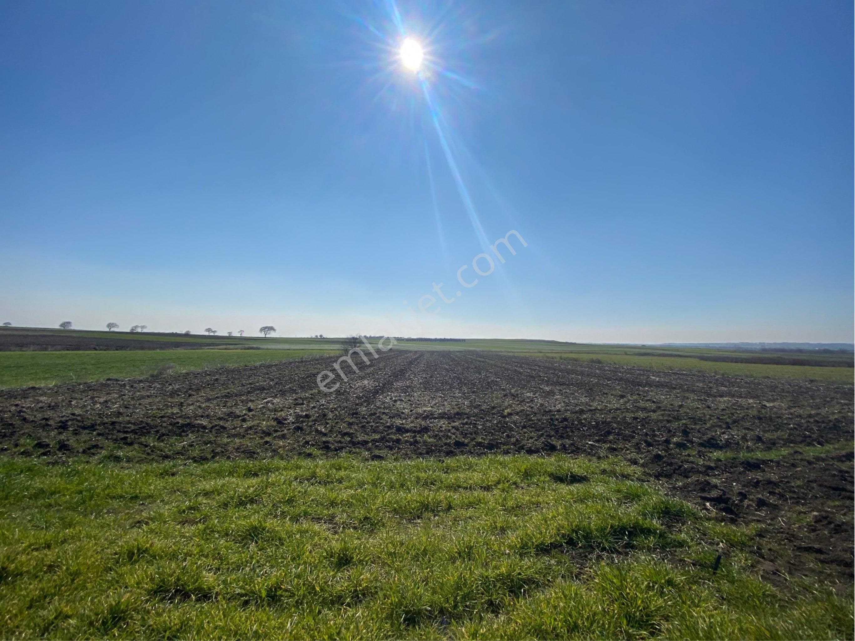 Bt Prestıge'den Yolu Olan Geleceği Parlak Acil Satılık Tarla - Görsel 8