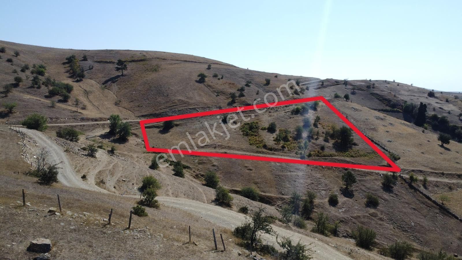 Sinop Durağan'da Satılık Arazi