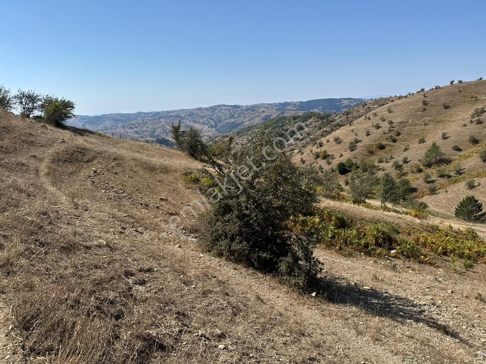 Sinop Durağan'da Satılık Arazi - Görsel 13