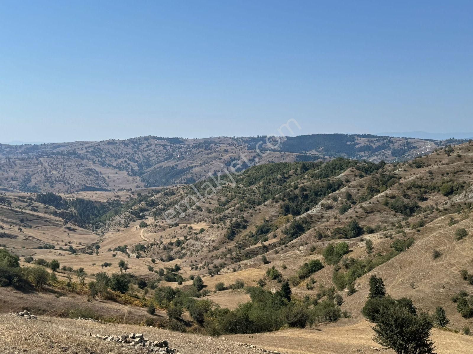 Sinop Durağan'da Satılık Arazi - Görsel 21