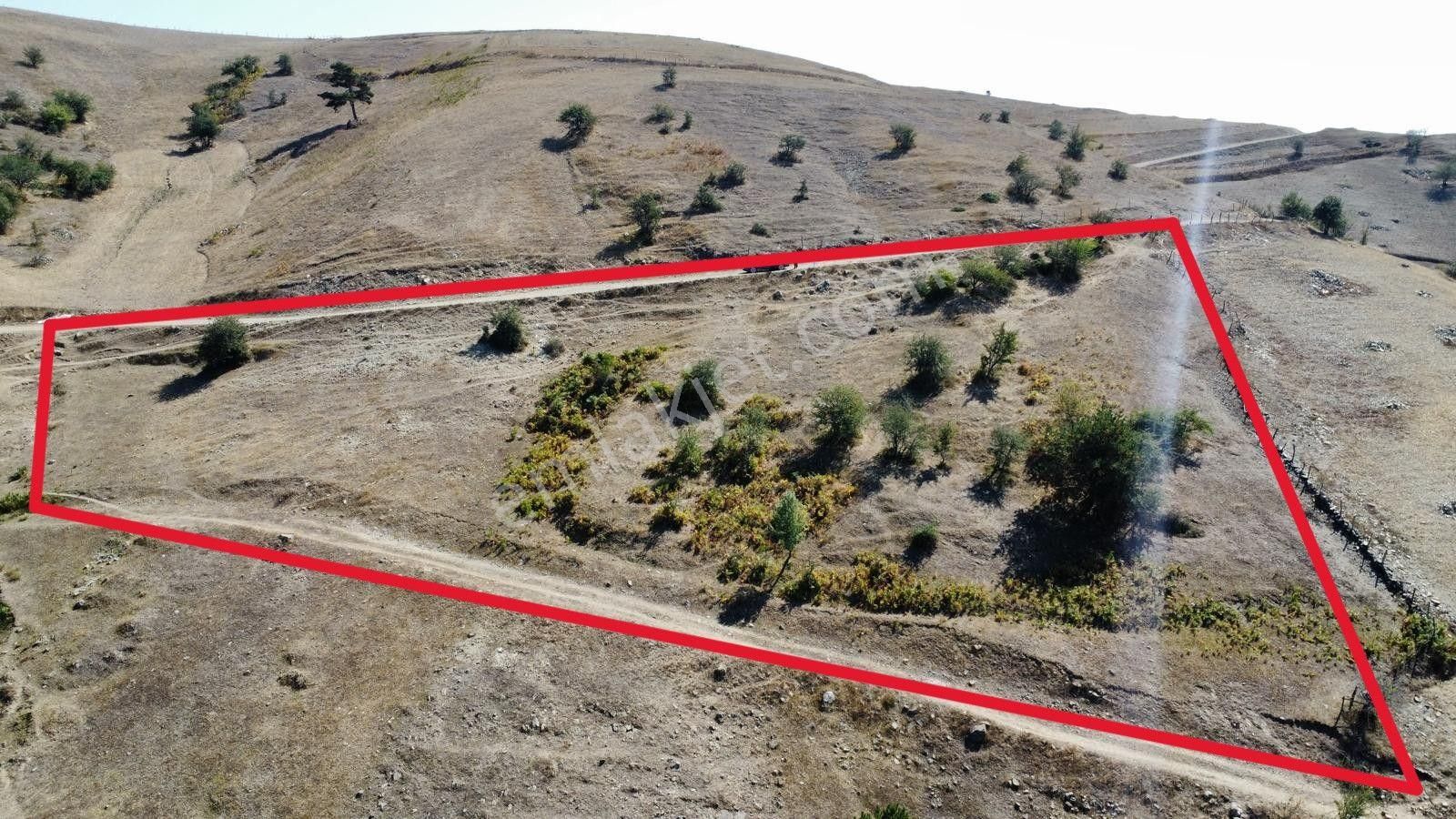 Sinop Durağan'da Satılık Arazi - Görsel 10