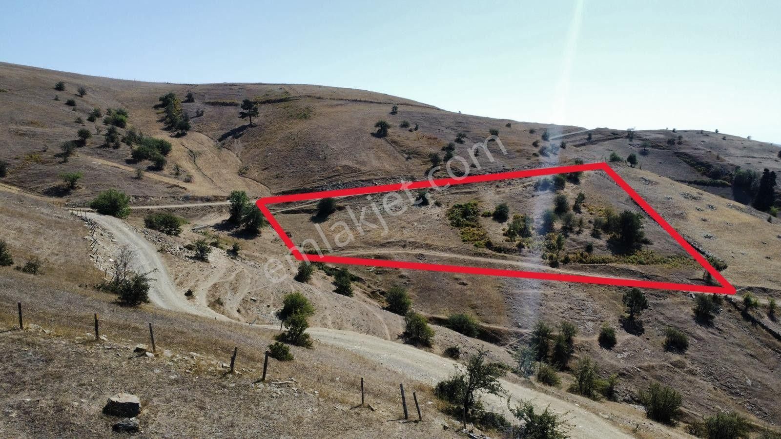 Sinop Durağan'da Satılık Arazi - Görsel 7