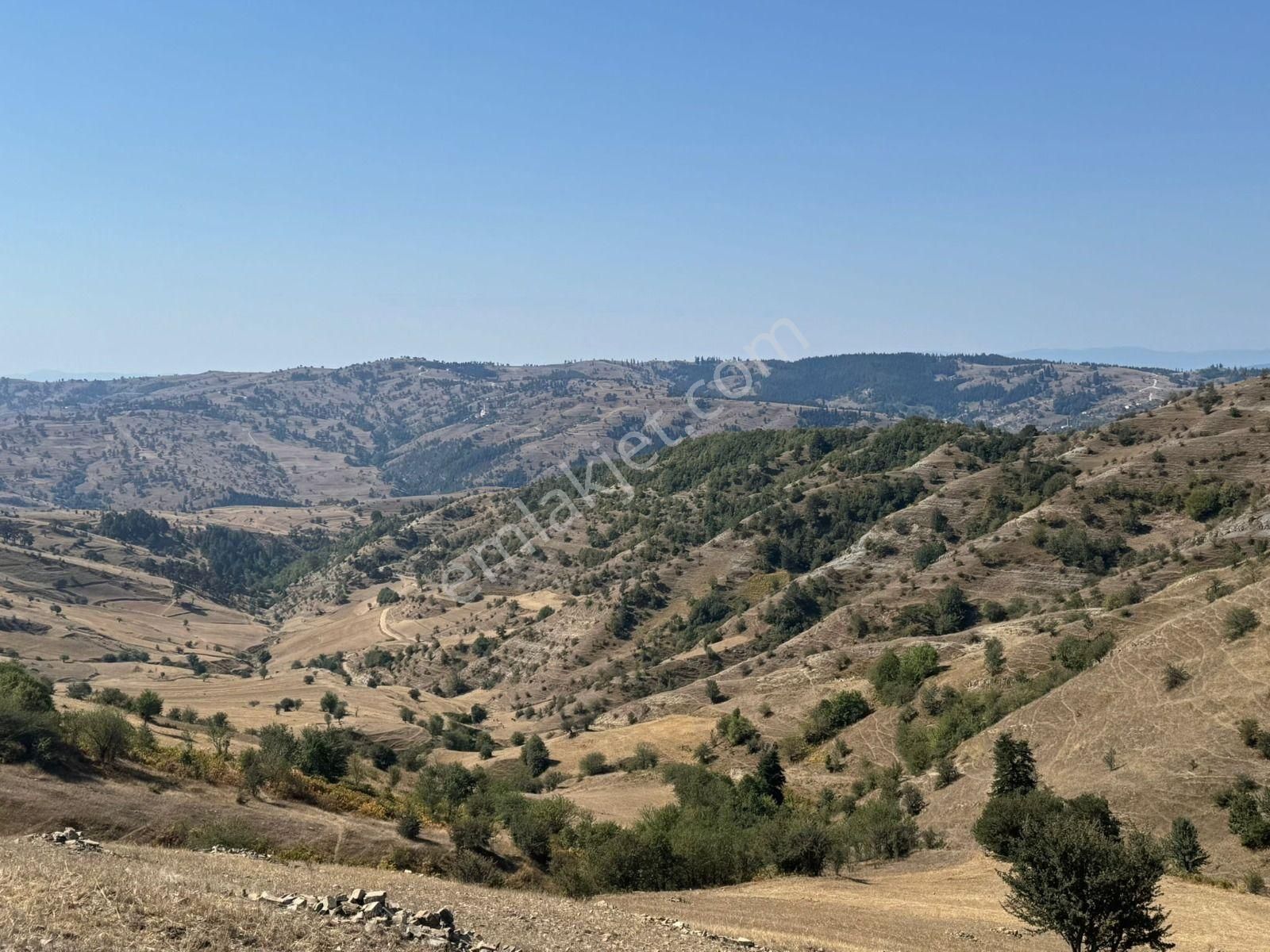 Sinop Durağan'da Satılık Arazi - Görsel 16