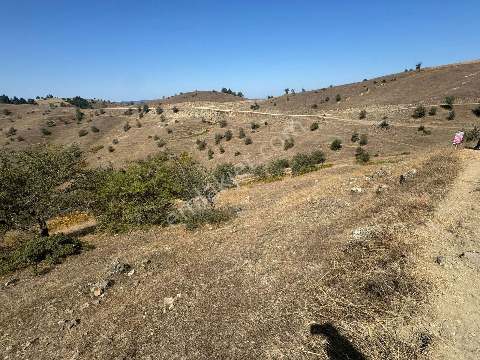Sinop Durağan'da Satılık Arazi - Görsel 22