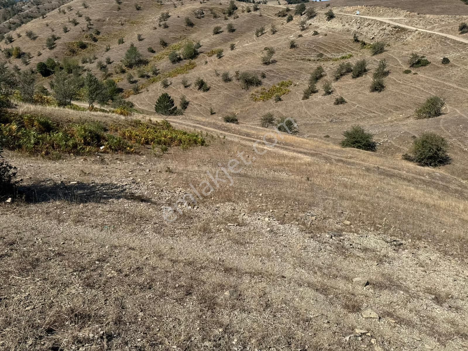Sinop Durağan'da Satılık Arazi - Görsel 12