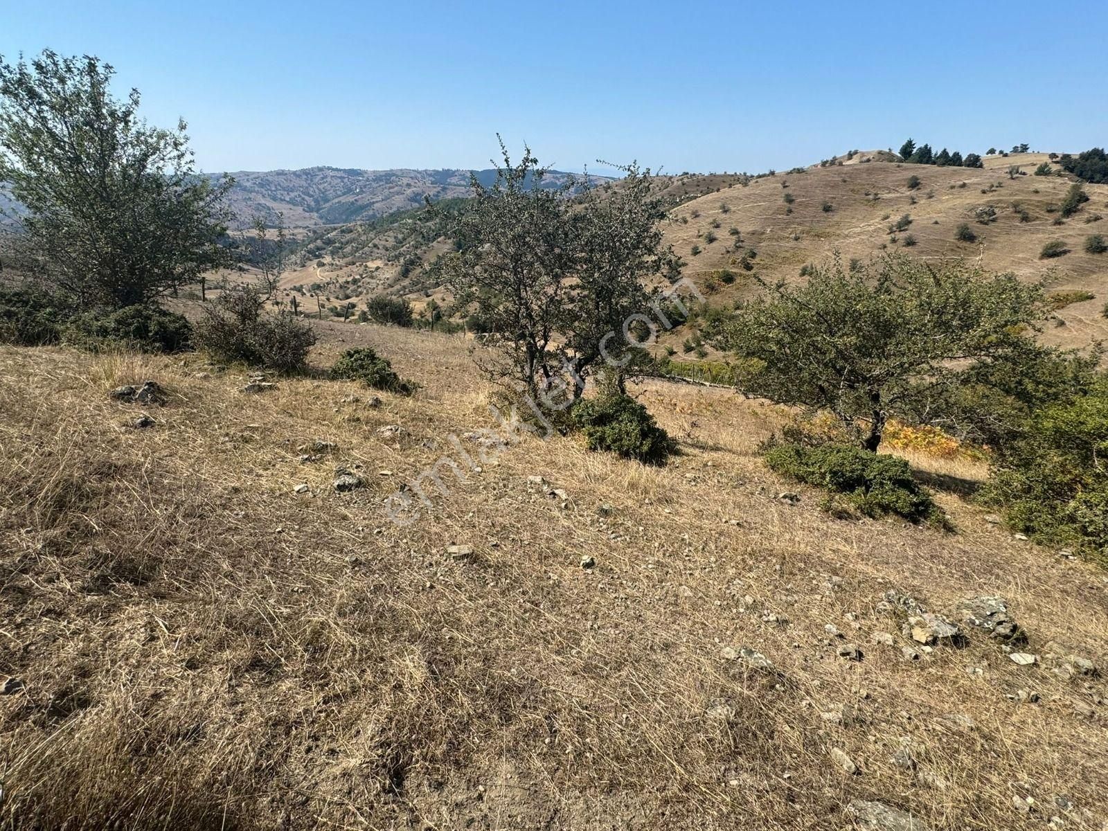 Sinop Durağan'da Satılık Arazi - Görsel 20
