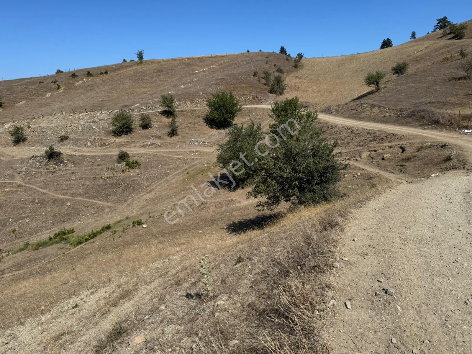 Sinop Durağan'da Satılık Arazi - Görsel 9