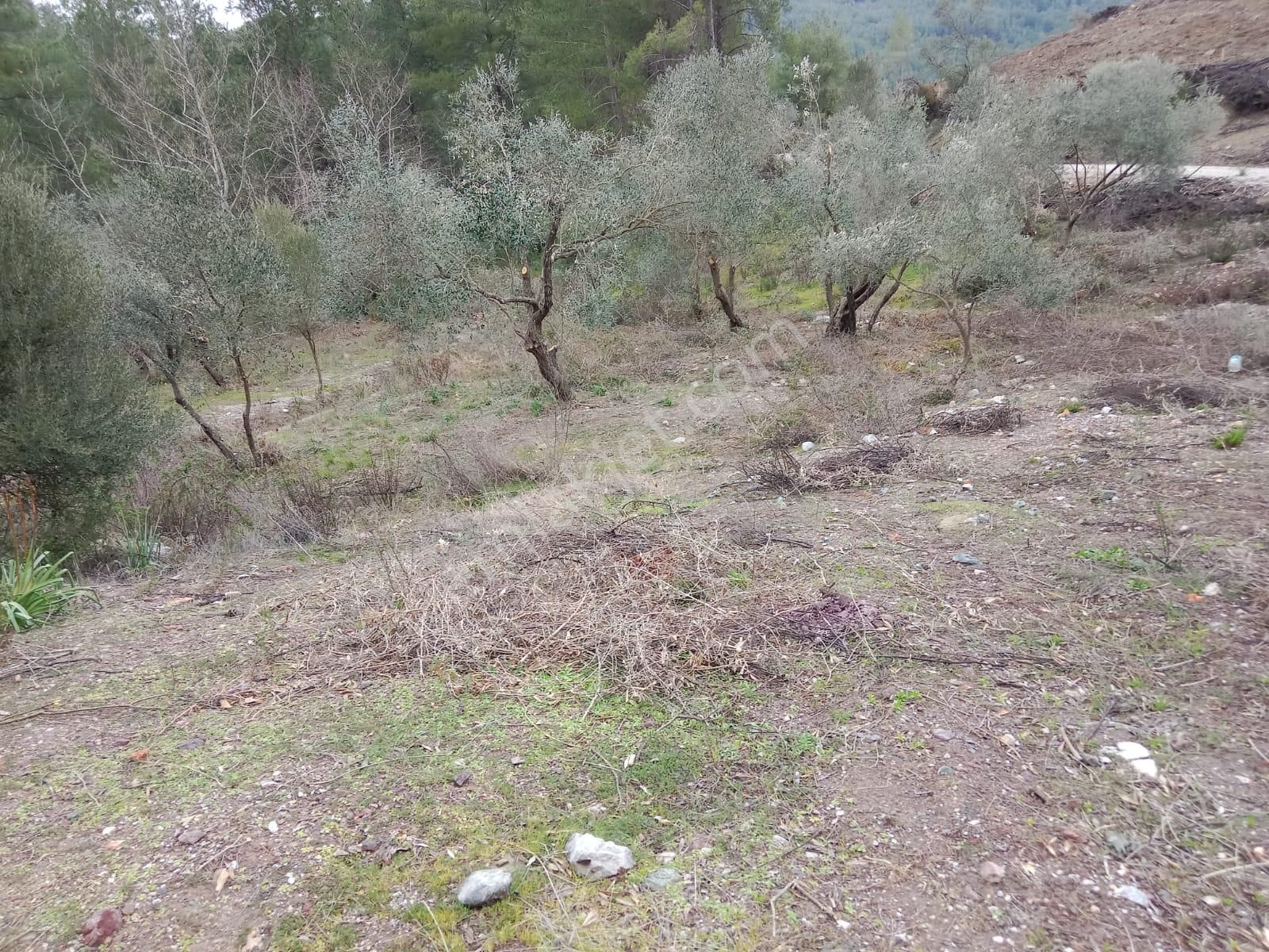 Stop’tan Dalaman Karacağaç *465 M2 Satılık Tarla* - Görsel 6