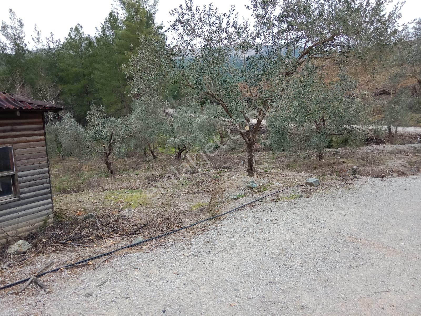 Stop’tan Dalaman Karacağaç *465 M2 Satılık Tarla* - Görsel 9