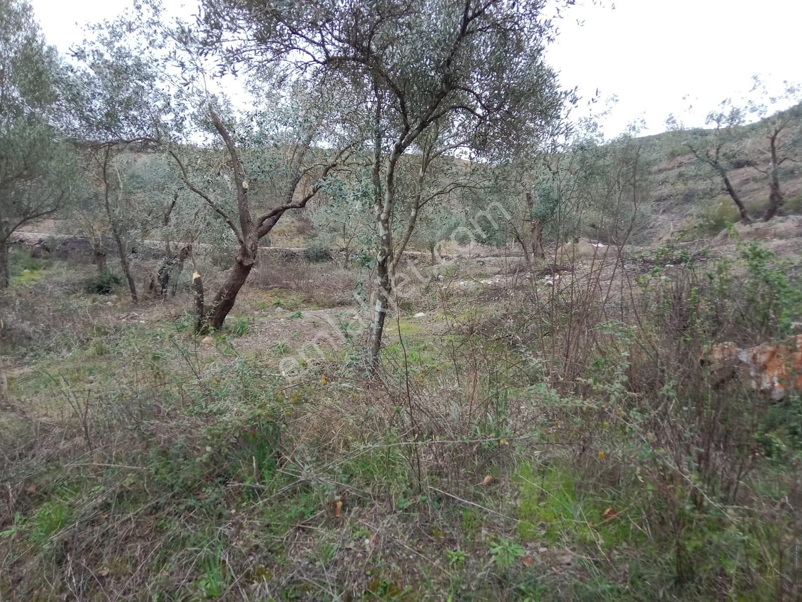 Stop’tan Dalaman Karacağaç *465 M2 Satılık Tarla* - Görsel 5