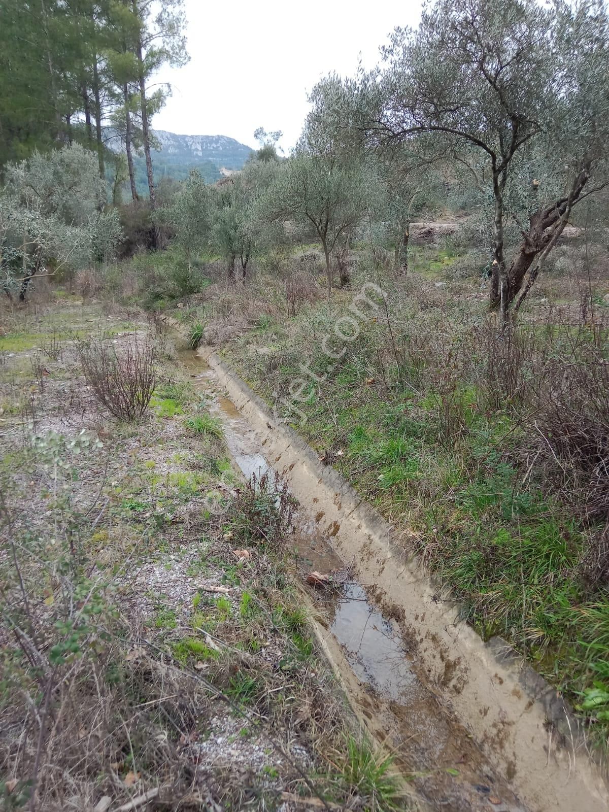 Stop’tan Dalaman Karacağaç *465 M2 Satılık Tarla* - Görsel 7