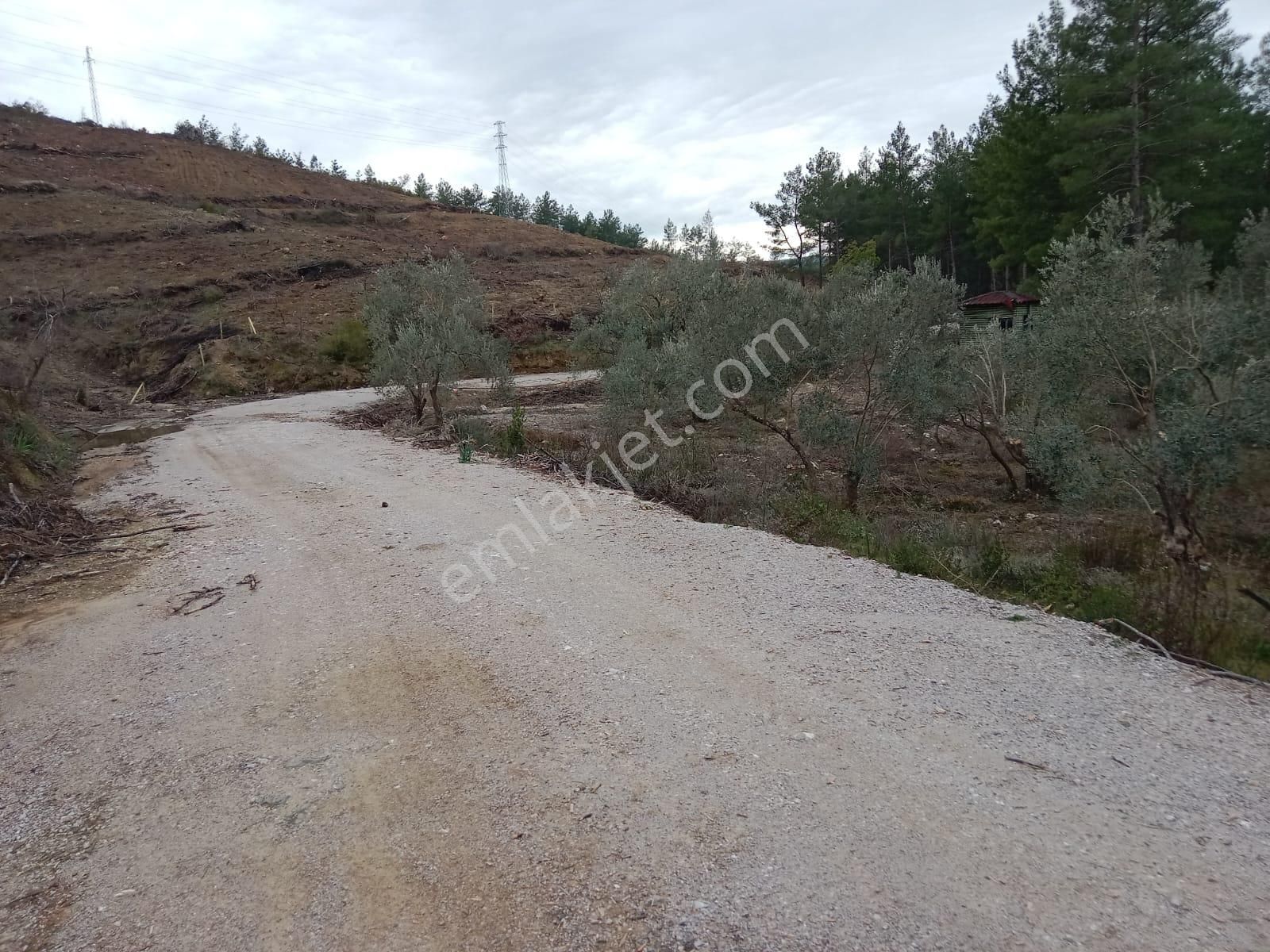 Stop’tan Dalaman Karacağaç *465 M2 Satılık Tarla* - Görsel 10