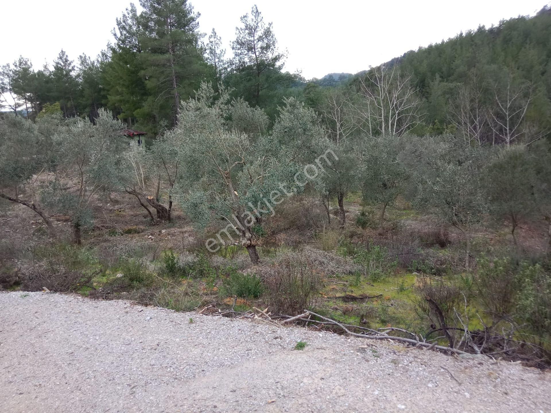 Stop’tan Dalaman Karacağaç *465 M2 Satılık Tarla* - Görsel 8