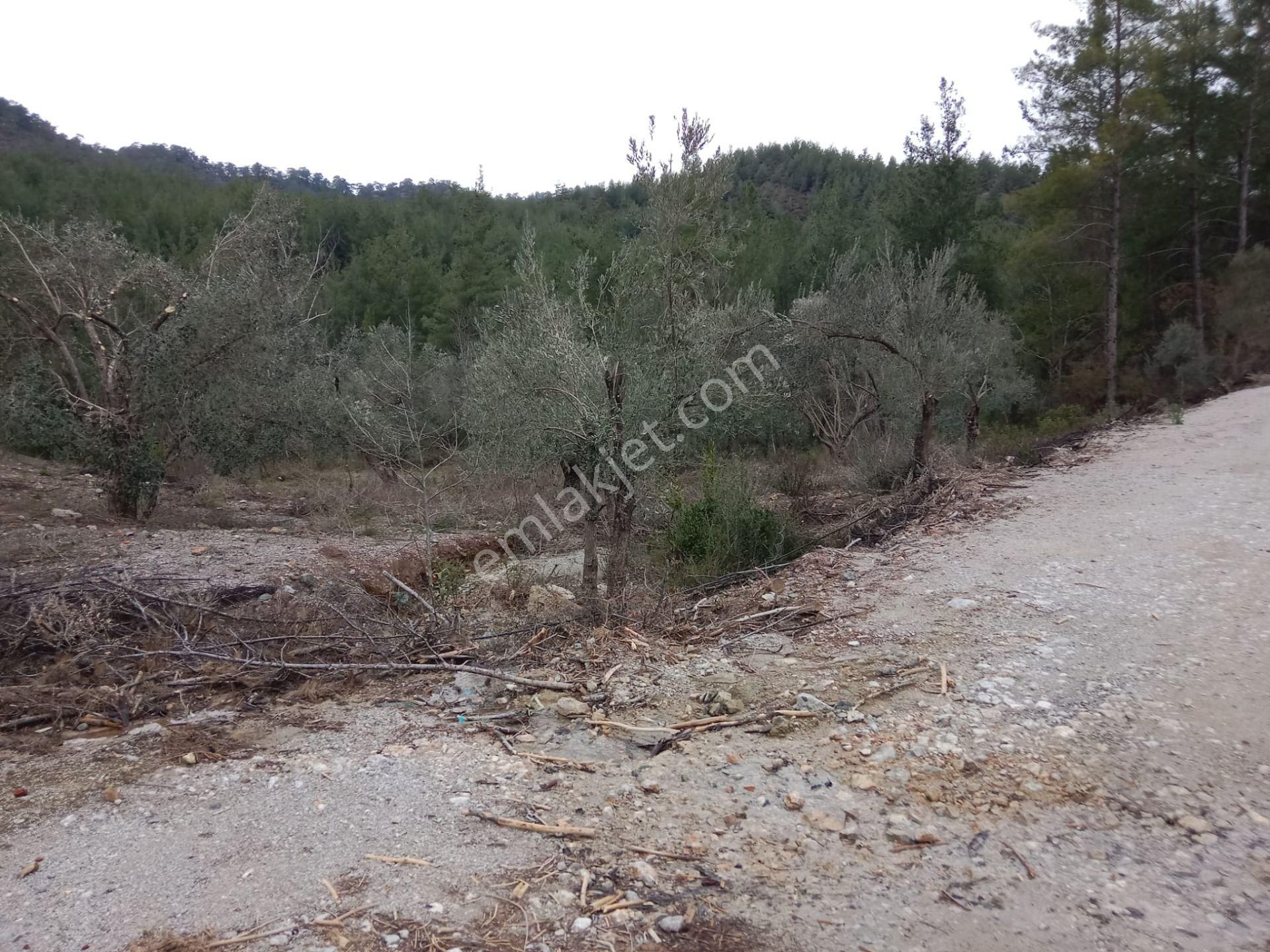 Stop’tan Dalaman Karacağaç *465 M2 Satılık Tarla* - Görsel 2