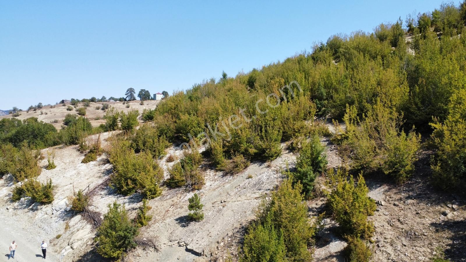Sinop Durağan'da Satılık Arazi - Görsel 14