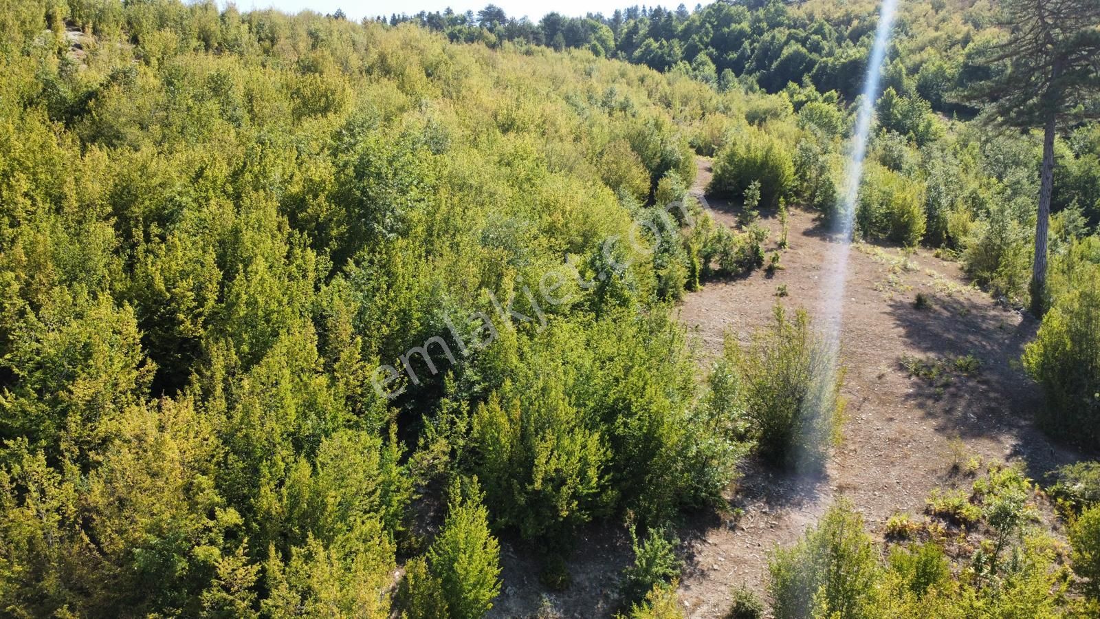 Sinop Durağan'da Satılık Arazi - Görsel 18