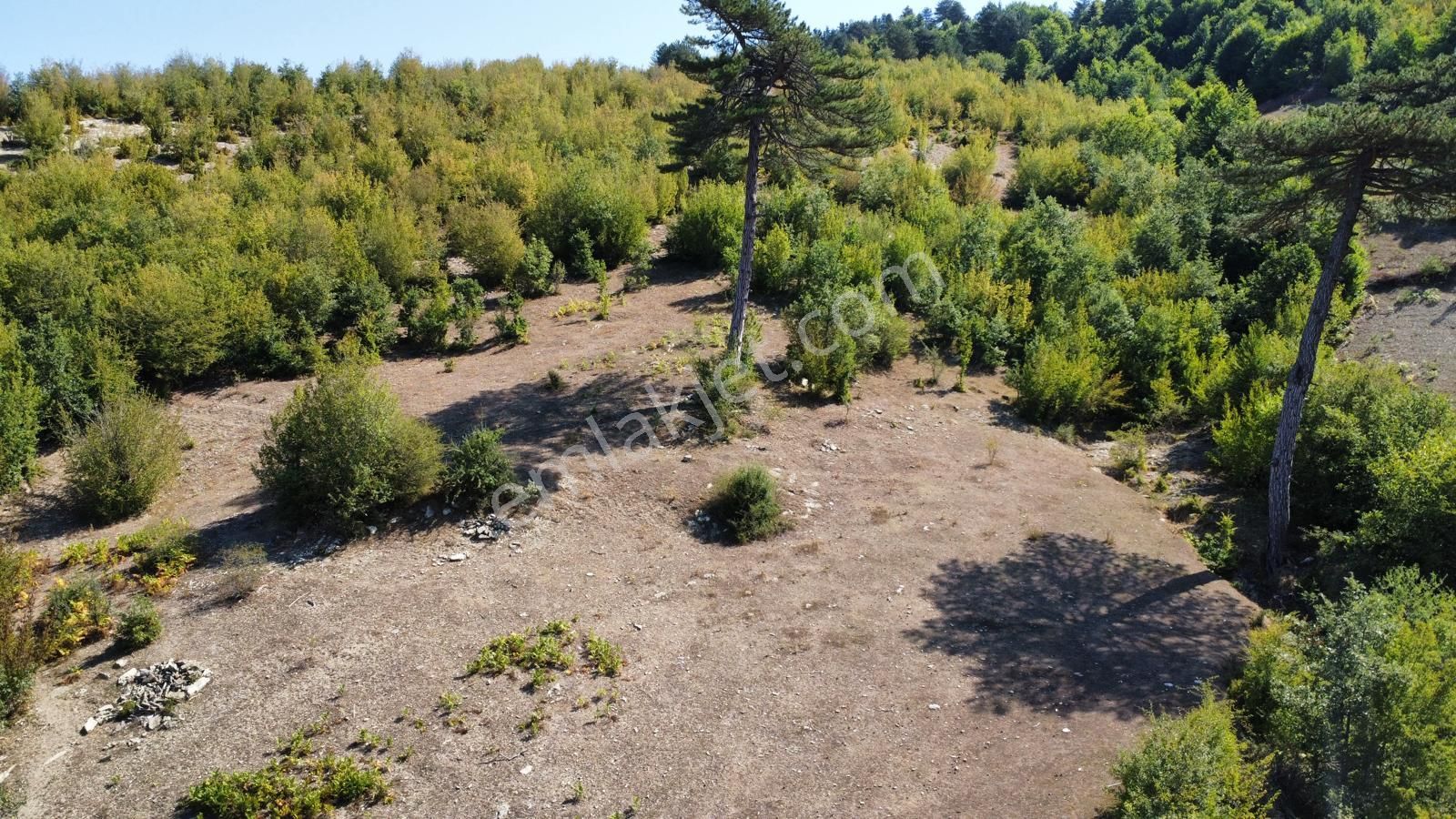 Sinop Durağan'da Satılık Arazi - Görsel 19