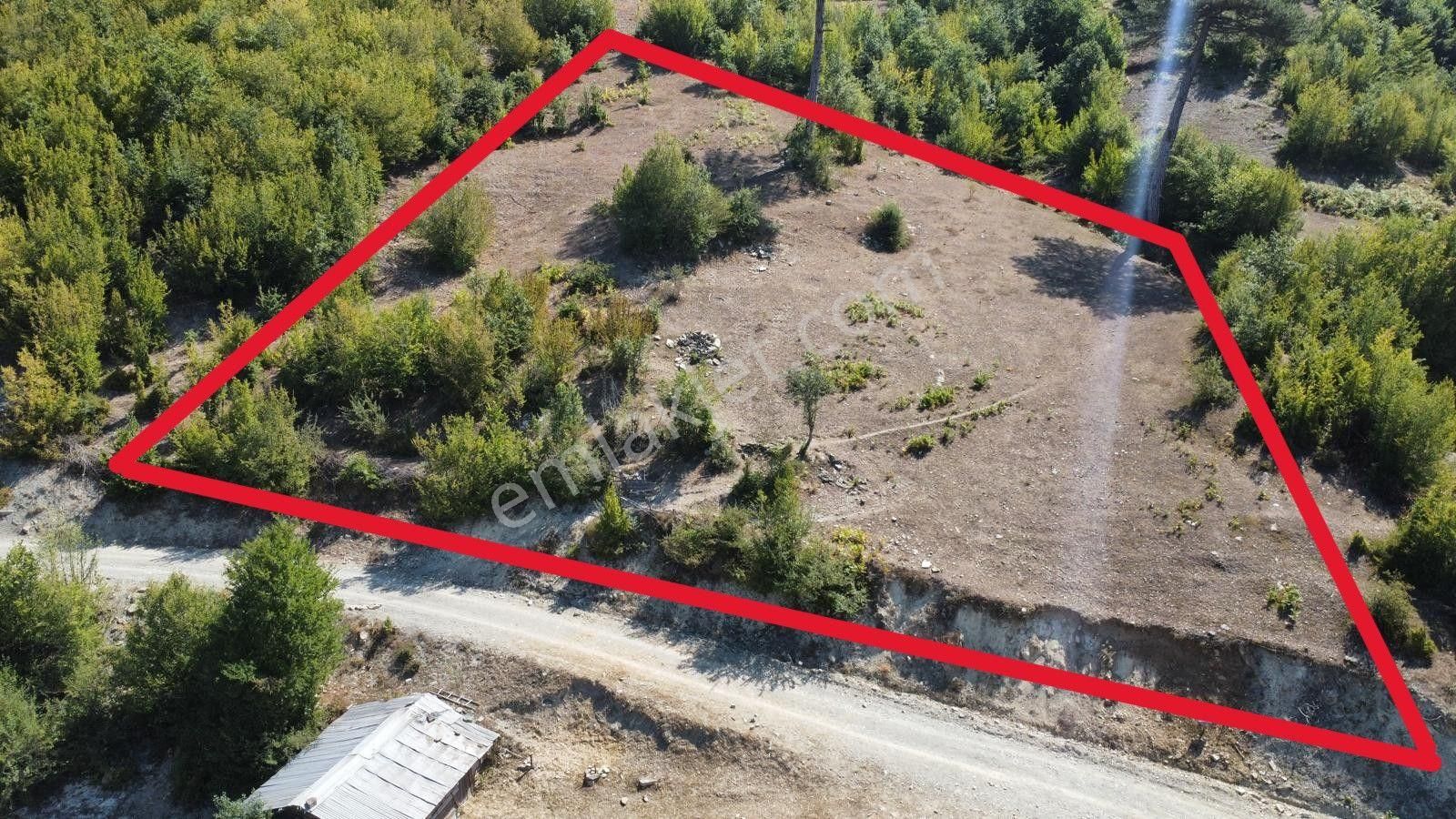 Sinop Durağan'da Satılık Arazi - Görsel 3