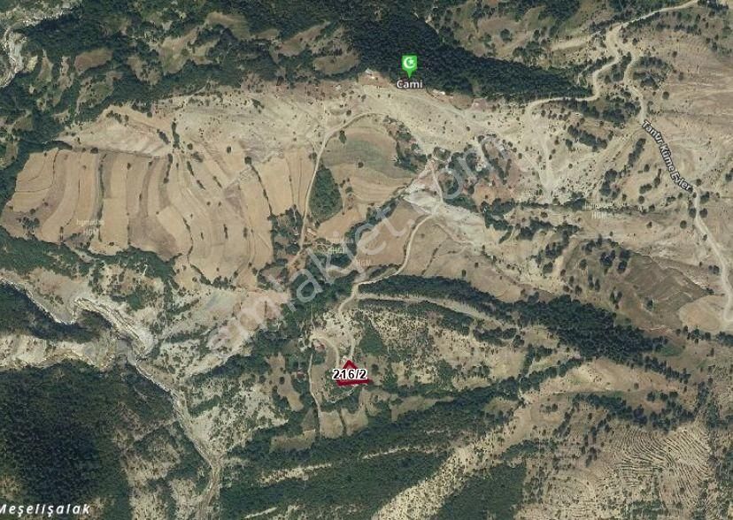 Sinop Durağan'da Satılık Arazi - Görsel 4