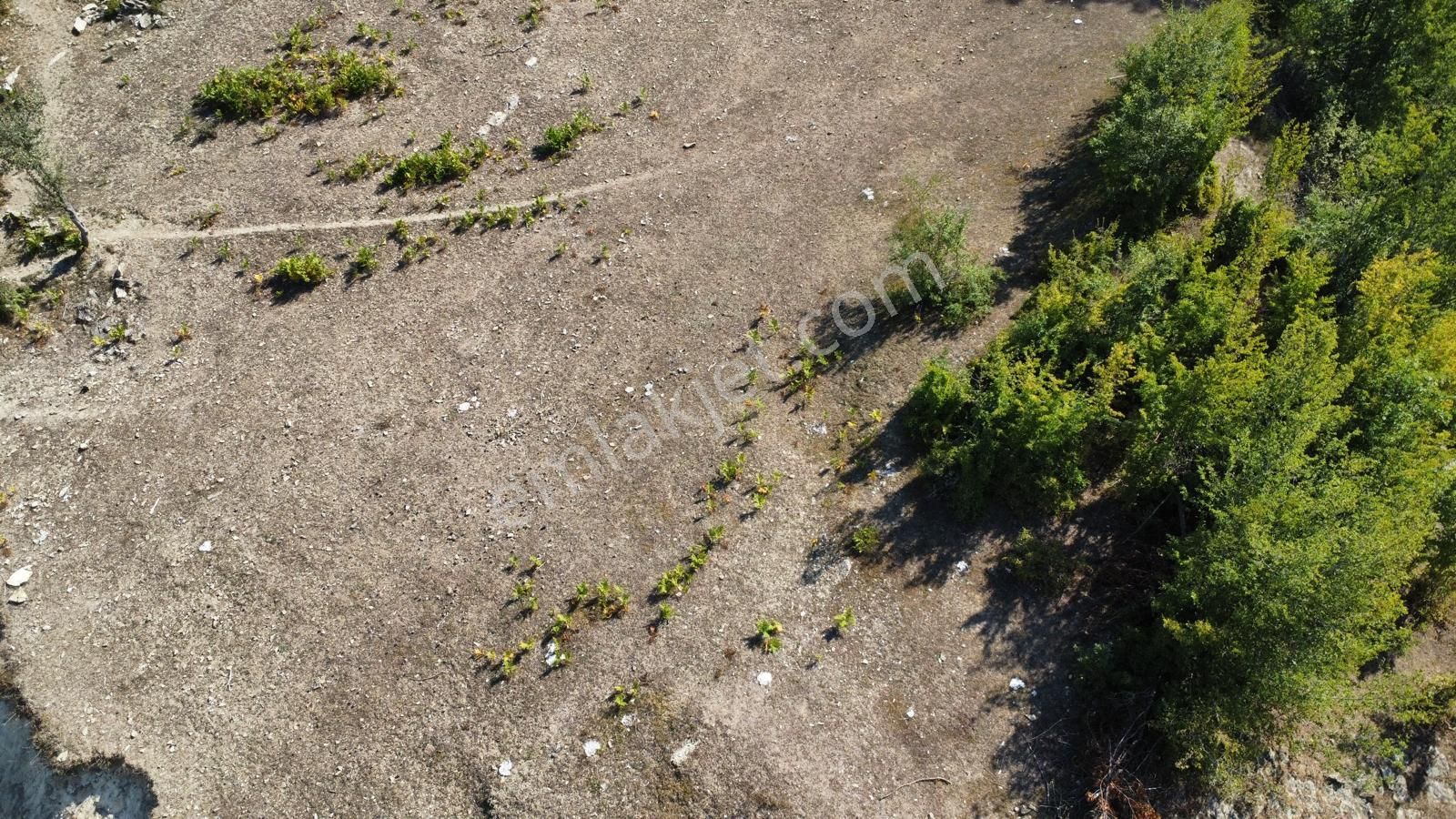 Sinop Durağan'da Satılık Arazi - Görsel 10