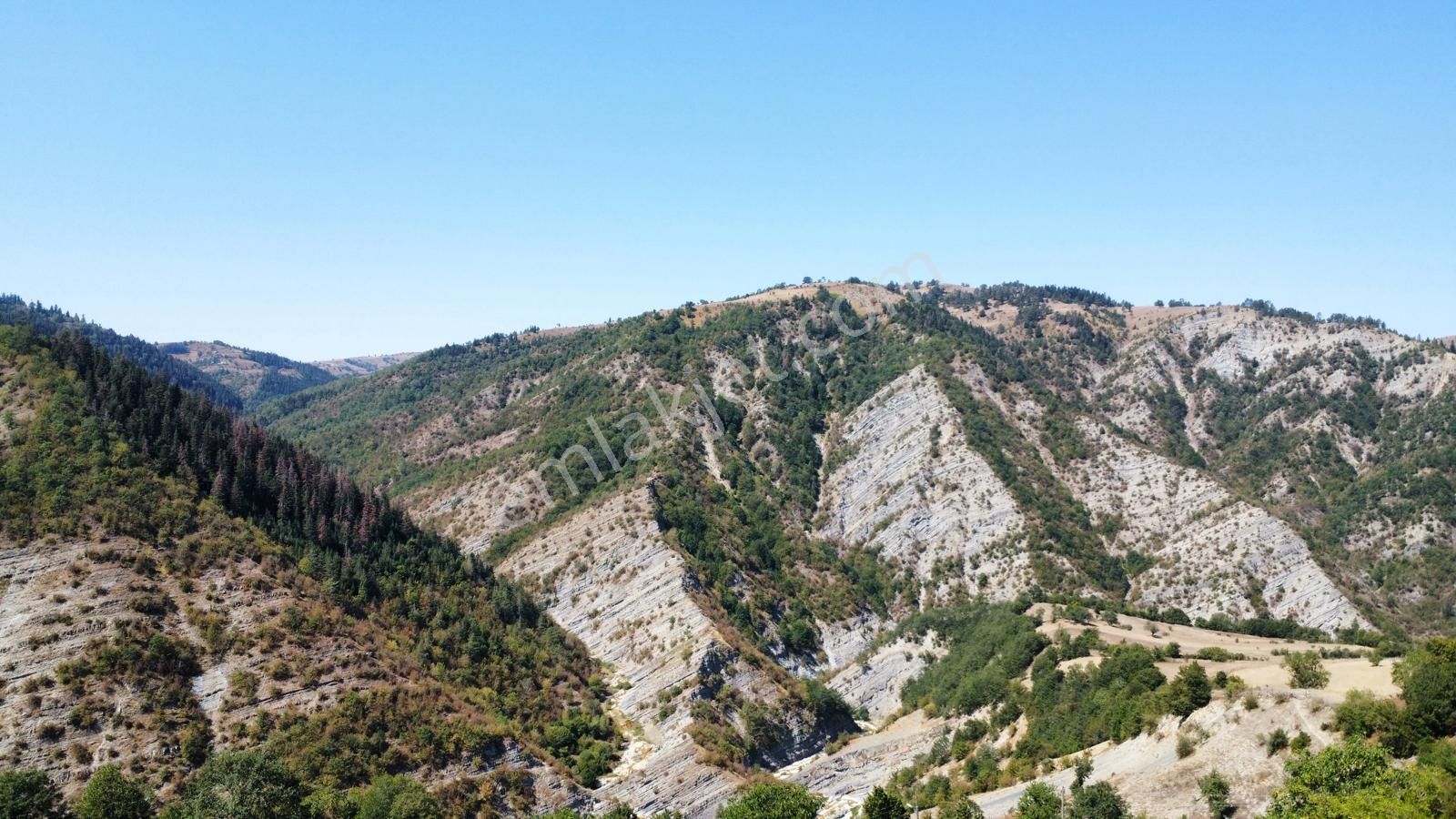 Sinop Durağan'da Satılık Arazi - Görsel 15