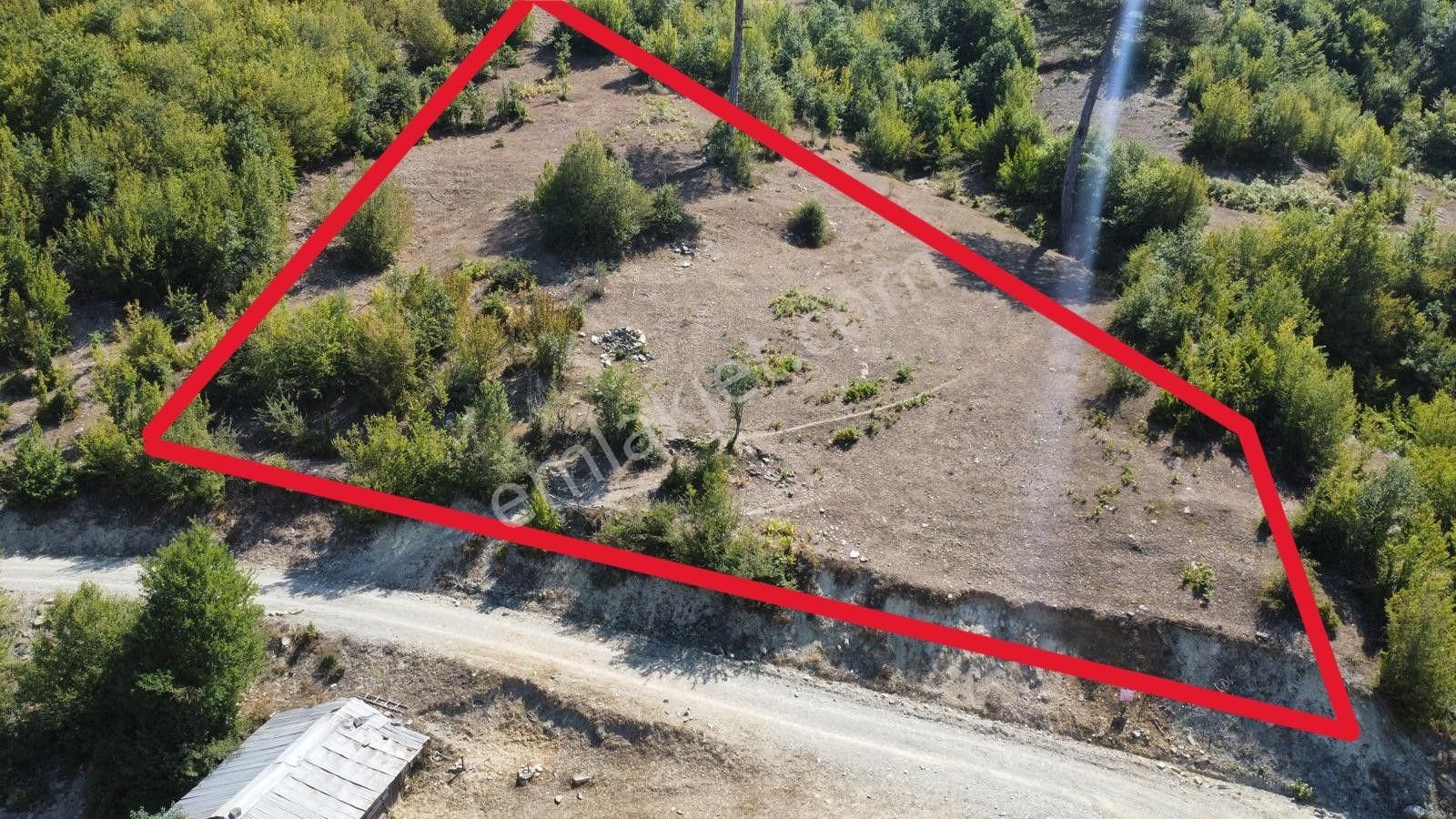 Sinop Durağan'da Satılık Arazi