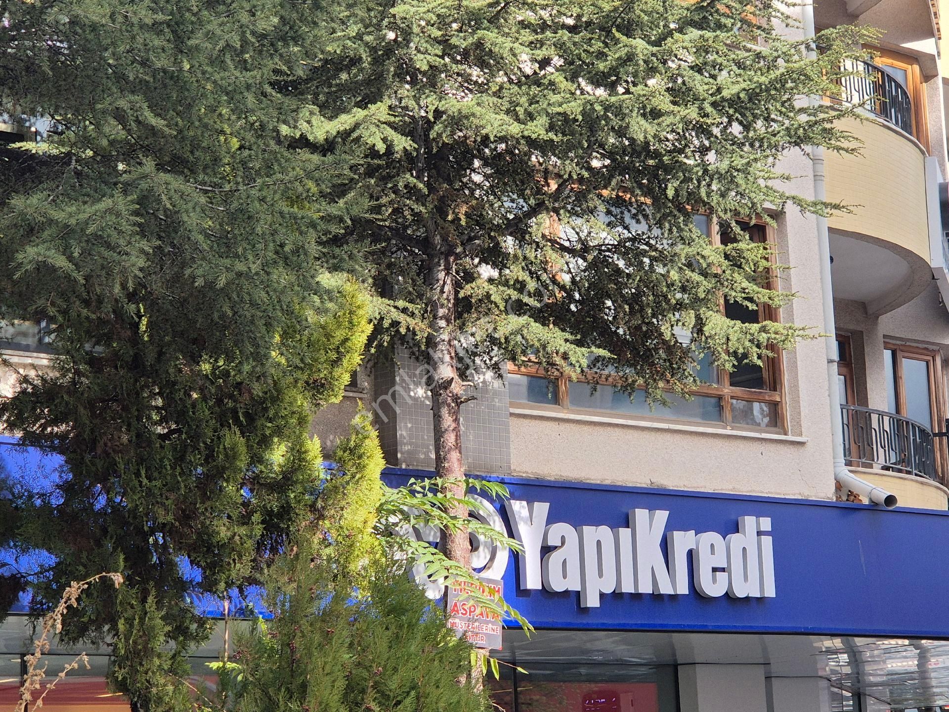 Kiralık,balgat Oğuzlar Da,3+1,tabela Değeri Yüksek, Ofis - Görsel 31