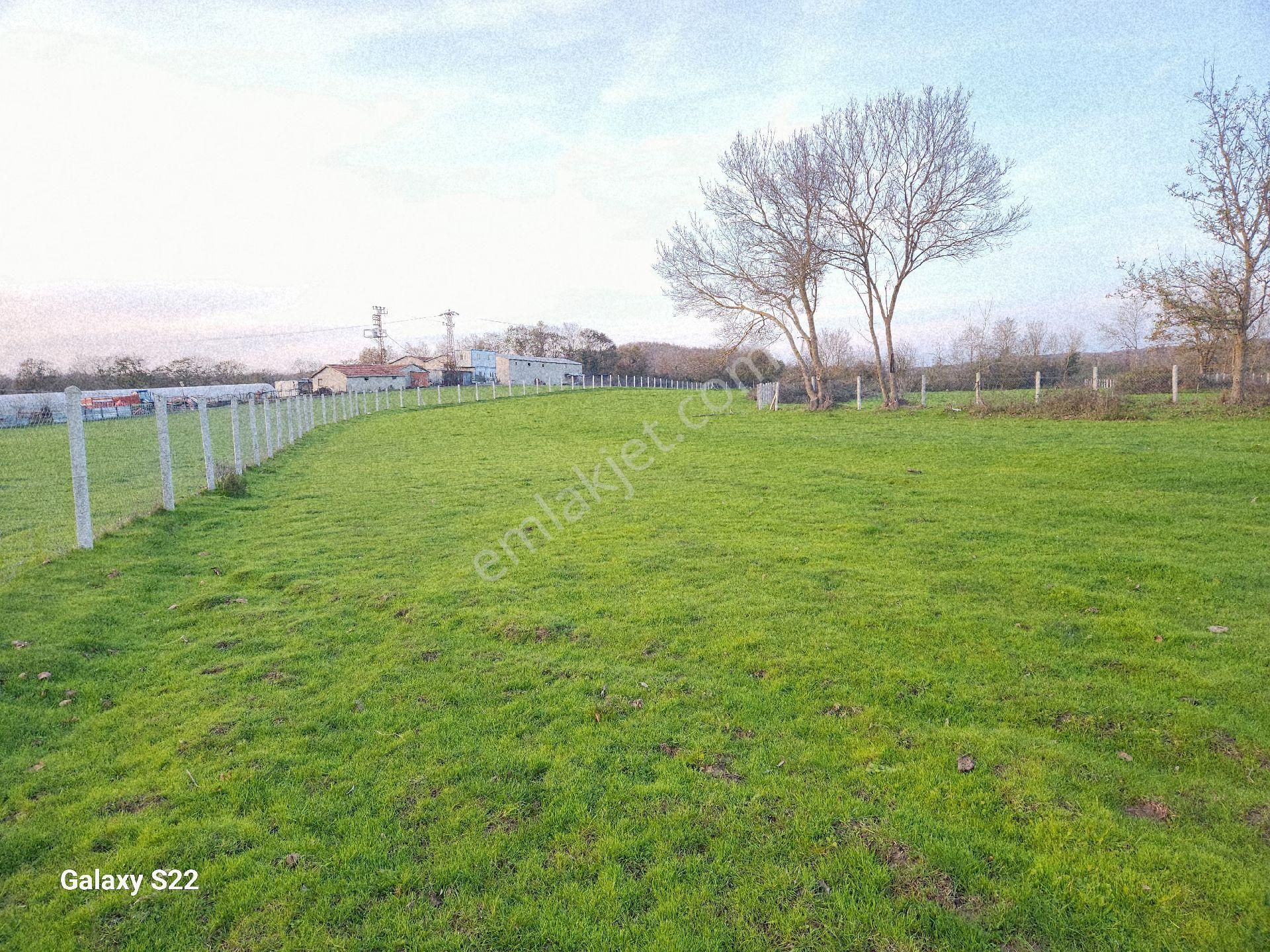 Ormanlı'da Köy Sınırına 500mt Mesafe'de Satılık 6548m2 Tarla